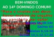 BEM-VINDOS  AO 14º DOMINGO COMUM!