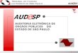 AUDITORIA ELETRÔNICA DE ORGÃOS PÚBLICOS    DO ESTADO DE SÃO PAULO