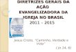 DIRETRIZES GERAIS DA AÇÃO  EVANGELIZADORA DA IGREJA NO BRASIL 2011 – 2015