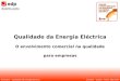 Qualidade da Energia Eléctrica O envolvimento comercial na qualidade para empresas