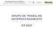 GRUPO DE TRABALHO GEOPROCESSAMENTO GT-GEO