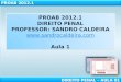 PROAB 2012.1 DIREITO  PENAL PROFESSOR:  SANDRO CALDEIRA sandrocaldeira Aula 1