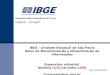 IBGE - Un idade Estadual de São Paulo Setor de Documenta ç ão e  Disseminação de Informações