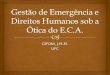 Gestão  de  Emergência  e  Direitos Humanos  sob a  Ótica  do E.C.A