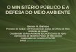 Brasil - Democracia capitalista O Meio Ambiente  na Constituição da República