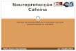 Neuroprotecção pela Cafeína