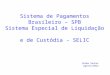 Sistema de Pagamentos Brasileiro – SPB Sistema Especial de Liquidação  e de Custódia - SELIC