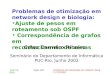 Problemas de otimização em network design e biologia: Ajuste de pesos em roteamento sob OSPF