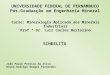 UNIVERSIDADE FEDERAL DE PERNAMBUCO Pós-Graduação em Engenharia Mineral