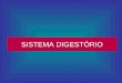 SISTEMA DIGEST“RIO
