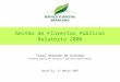 Gestão de Florestas Públicas Relatório 2006