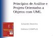 Princípios de Análise e Projeto Orientados a Objetos com UML