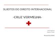 SUJEITOS DO DIREITO INTERNACIONAL -CRUZ VERMELHA-