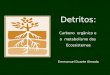 Detritos: Carbono  orgânico e  o  metabolismo dos  Ecossistemas Emmanuel Duarte Almada