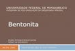 Universidade Federal de Pernambuco Programa de Pós-Graduação em Engenharia Mineral