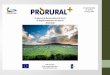 Segmentos de intervenção do  PDR/  Prioridades do Desenvolvimento rural (FEADER)