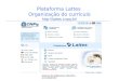 Plataforma Lattes  Organização do currículo lattespq.br