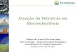 Pedro de Assis Pereira Neto Gás e Energia – Desenvolvimento Energético