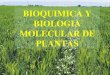 BIOQUIMICA Y BIOLOGIA MOLECULAR DE PLANTAS