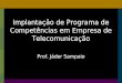 Implantação de Programa de Competências em Empresa de Telecomunicação