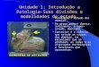 Unidade 1: Introdução a Patologia-Suas divisões e modalidades de estudo