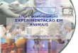 ÉTICA E EXPERIMENTAÇÃO EXPERIMENTAÇÃO EM ANIMAIS