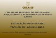 CONSELHO REGIONAL DE ENGENHARIA, ARQUITETURA E AGRONOMIA DO ESPÍRITO SANTO LEGISLAÇÃO PROFISSIONAL