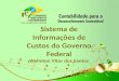 Sistema de Informações de Custos do Governo Federal Welinton  Vitor dos Santos