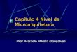 Capítulo 4 Nível da Microarquitetura