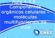 Aula  4-4.8 -  Componentes orgânicos celulares – moléculas multifuncionais da vida