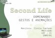 DOMINANDO  GESTOS E ANIMAÇÕES Monitora: Cintia Caetano Mestrado UFF – IC 2009/01