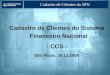 Cadastro de Clientes do Sistema Financeiro Nacional - CCS - São Paulo, 29.11.2004