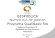 GESPÚBLICA Núcleo Rio de Janeiro Programa Qualidade Rio