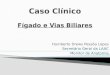 Caso Clínico Fígado e Vias Biliares