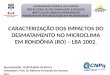 Apresentação: Cintia Rabelo da Rocha Orientador: Prof. Dr. Roberto Fernando da Fonseca Lyra