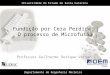 Fundição por Cera Perdida :  O  processo  de  Microfusão