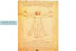 Leonardo da Vinci O Homen Vetruviano