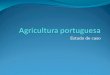 Agricultura portuguesa