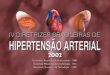 IV Diretrizes Brasileiras de Hipertensão