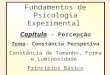 Fundamentos de Psicologia Experimental Capítulo  - Percepção Tema - Constância Perspetiva
