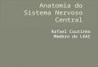 Anatomia  do  Sistema Nervoso  Central