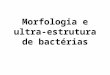 Morfologia e ultra-estrutura de bactérias