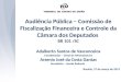 Audiência Pública – Comissão de Fiscalização Financeira e Controle da Câmara dos Deputados