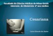 Faculdade  de  Ciências Médicas  de Minas  Gerais Internato   de  Obstetrícia - 6°  ano médico