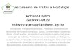 Processamento de Frutas e Hortaliças  Robson Castro cel :9991-8128 robsoncastro@plantbem.agr.br
