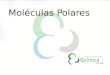 Moléculas Polares