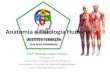 Anatomia  e  Fisiologia  Humana