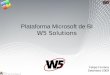 Plataforma Microsoft de BI W5 Solutions