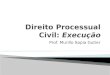 Direito Processual Civil :  Execução