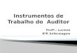 Instrumentos de Trabalho do  Auditor